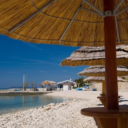 Anthropos - Near Split *